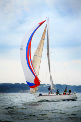 IMG_6529.jpg
