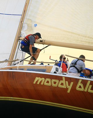 IMG_6542.jpg