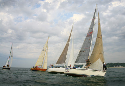 IMG_6445.jpg