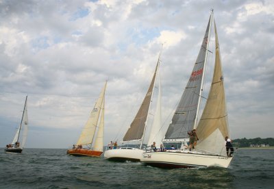 IMG_6445.jpg