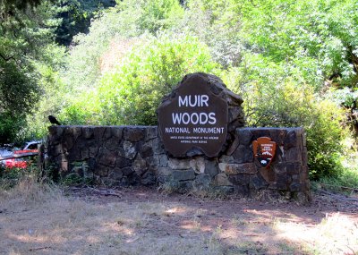 Muir Woods