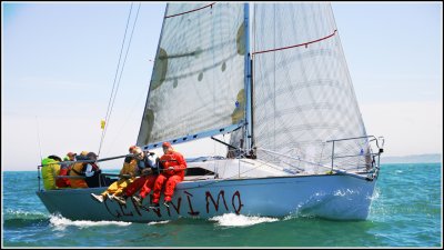 IMG_8320.jpg