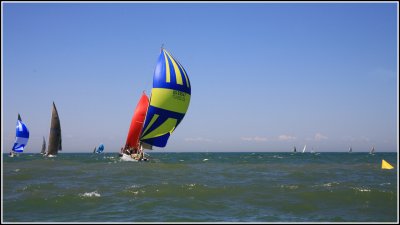 IMG_8441.jpg