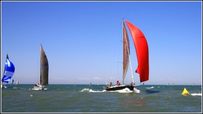 IMG_8451.jpg