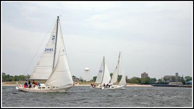IMG_9648.jpg