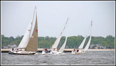 IMG_9654.jpg