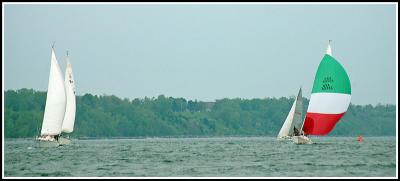 IMG_9679.jpg
