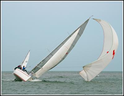 IMG_9706.jpg