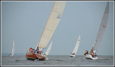 IMG_9715.jpg