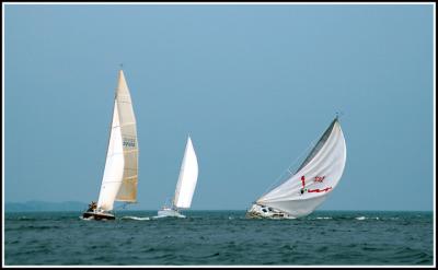 IMG_9748.jpg