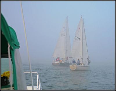 IMG_9785.jpg