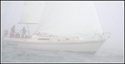 IMG_9917.jpg