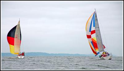 IMG_9950.jpg