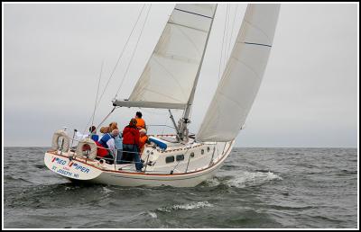 IMG_9968.jpg
