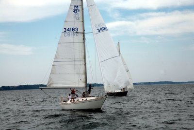 IMG_2819.jpg