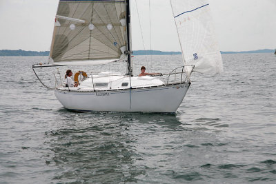IMG_2890.jpg