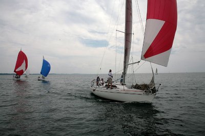 IMG_2904.jpg