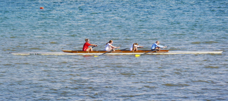Rowers on Collingwood Harbour - Aug, 2012