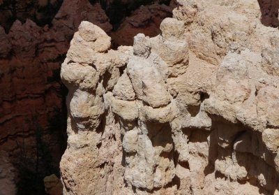 Stoned statues at the bar - Bryce Canyon