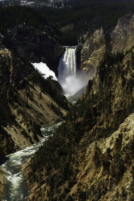 Yellowstone Falls 1