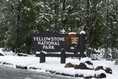 Yellowstone National Park - May 26, 2012