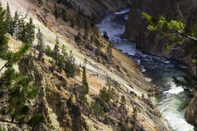 Yellowstone Vista 2