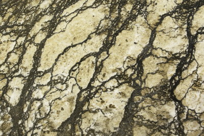 Mid Basin Geyser - Bacterial Art