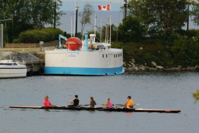 Rowing on the Harbour