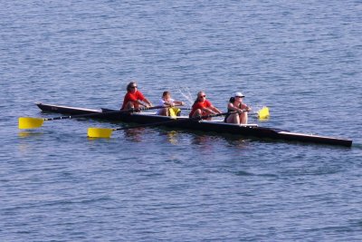 Rowers on the Collingwood Harbour