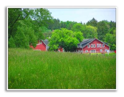 Spring-At-Knox-Farm-68