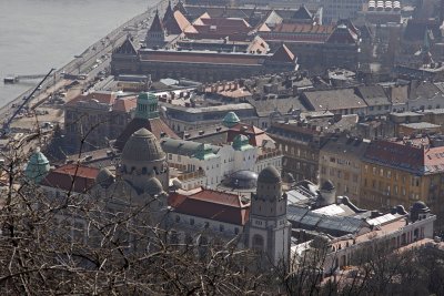 IMG_3395.jpg