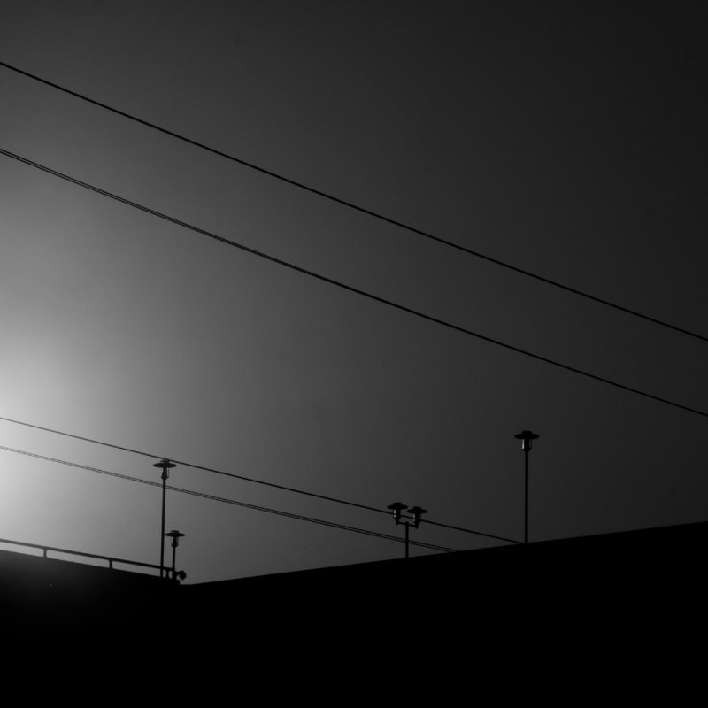 117:365<br> Lines