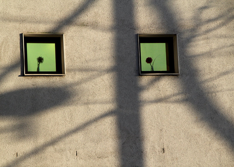 57:366<br>Shadow on the Wall