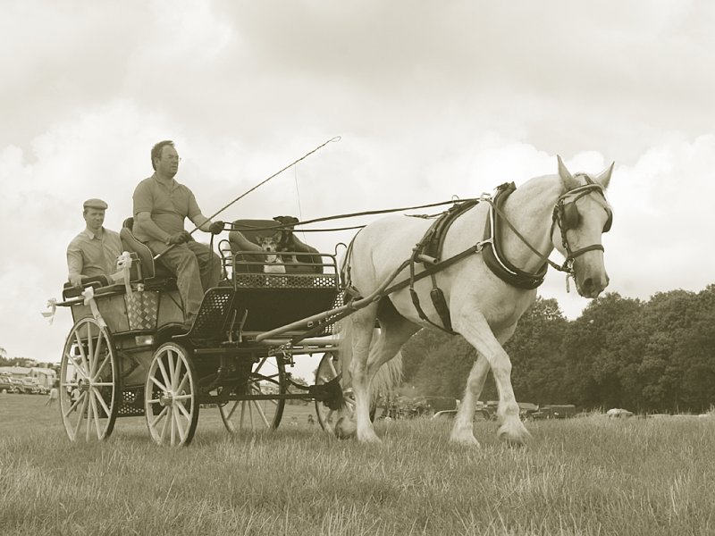 August 19 2006:  <br>  Going Back