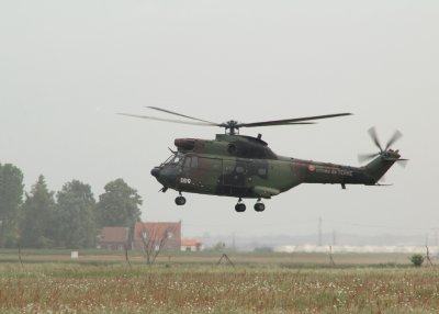 French Army Puma 1255