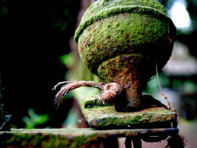 June 19 2006:  Nature's Way with Ironwork