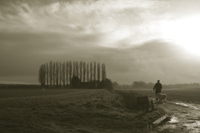 January 16 2008:  One Man and His Dog