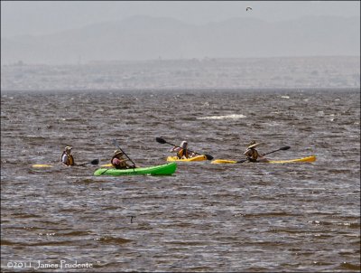 Kayaking Salton Sea 