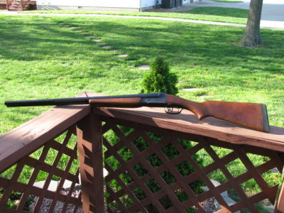 311c-1.jpg