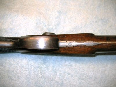 Trigger Guard Detail