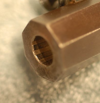 Business End of Muzzle