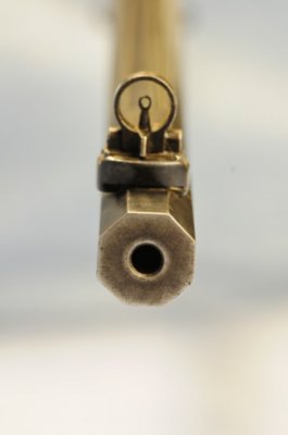 Muzzle and Front Sight Detail