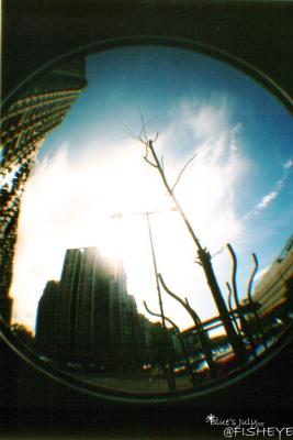 fisheye22.jpg
