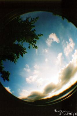 fisheye41.jpg