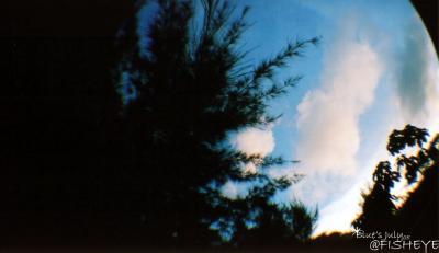 fisheye50.jpg