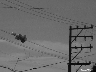dumped balloons closer up.jpg