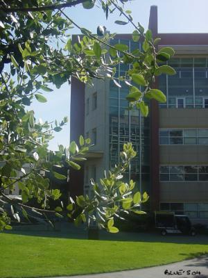 campus01.jpg