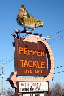 Pepper tackle_3401