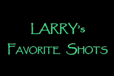 Larrys Favorite Shots 2005/2006/2007