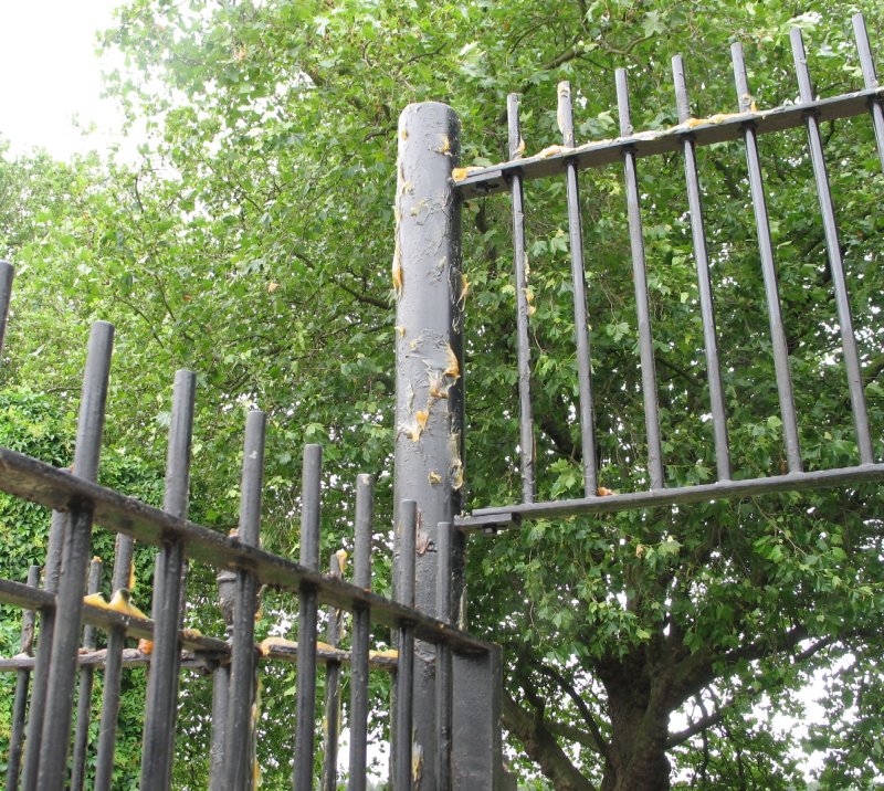 Grease the railings.